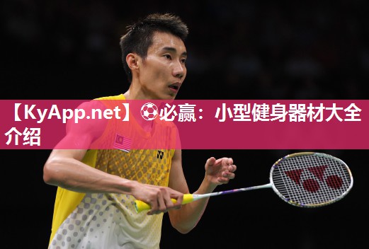 ⚽必赢：小型健身器材大全介绍
