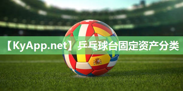 乒乓球台固定资产分类