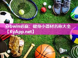 ⚽bwin必赢：健身小器材名称大全