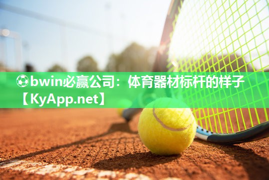 ⚽bwin必赢公司：体育器材标杆的样子