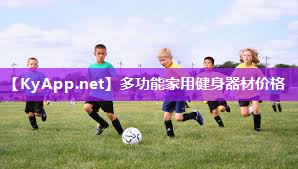 多功能家用健身器材价格