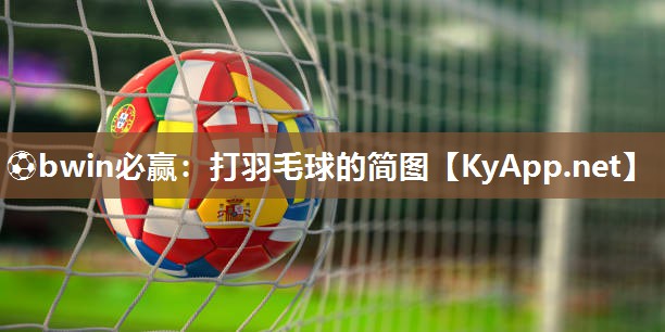 ⚽bwin必赢：打羽毛球的简图