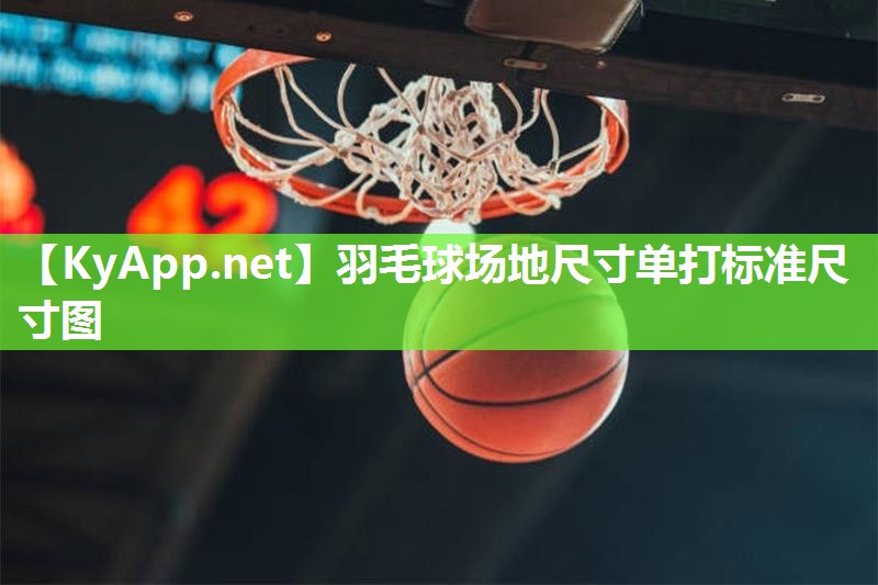 羽毛球场地尺寸单打标准尺寸图