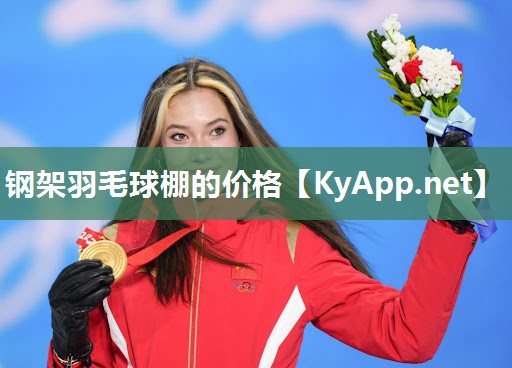 钢架羽毛球棚的价格