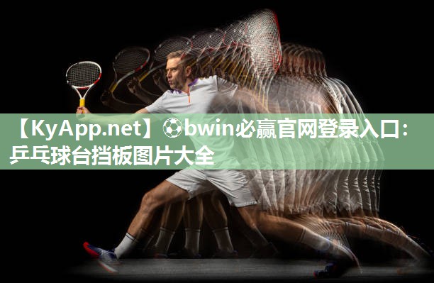 ⚽bwin必赢官网登录入口：乒乓球台挡板图片大全