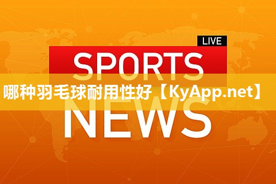 哪种羽毛球耐用性好