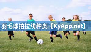 羽毛球拍拉线种类