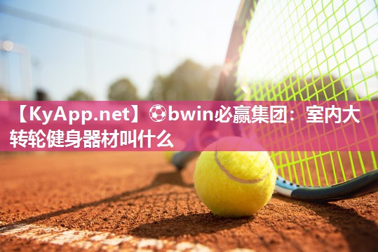 室内大转轮健身器材叫什么