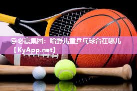 哈野儿童乒乓球台在哪儿