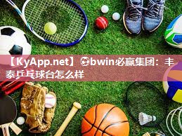 丰泰乒乓球台怎么样