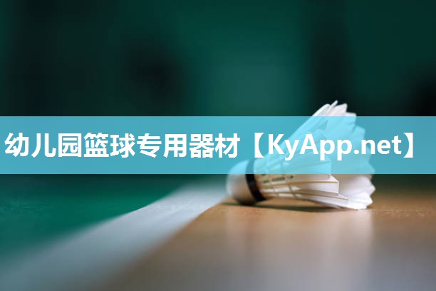 幼儿园篮球专用器材