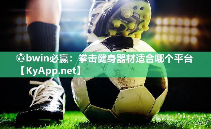 拳击健身器材适合哪个平台