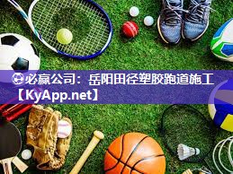 岳阳田径塑胶跑道施工