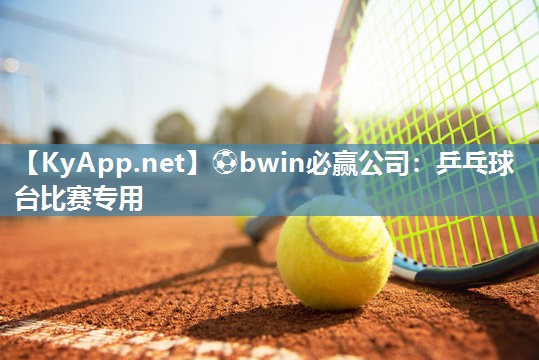 乒乓球台比赛专用