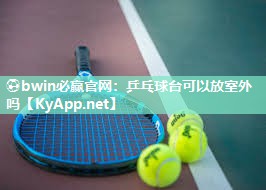 乒乓球台可以放室外吗