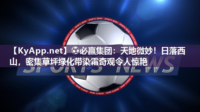 天地微妙！日落西山，密集草坪绿化带染霜奇观令人惊艳