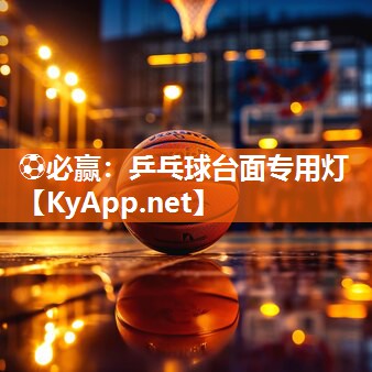 乒乓球台面专用灯