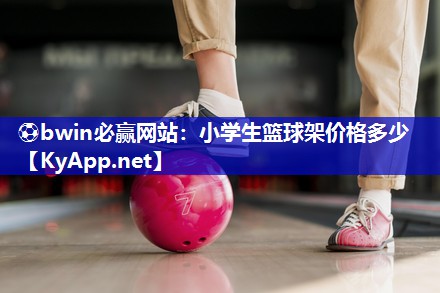 小学生篮球架价格多少