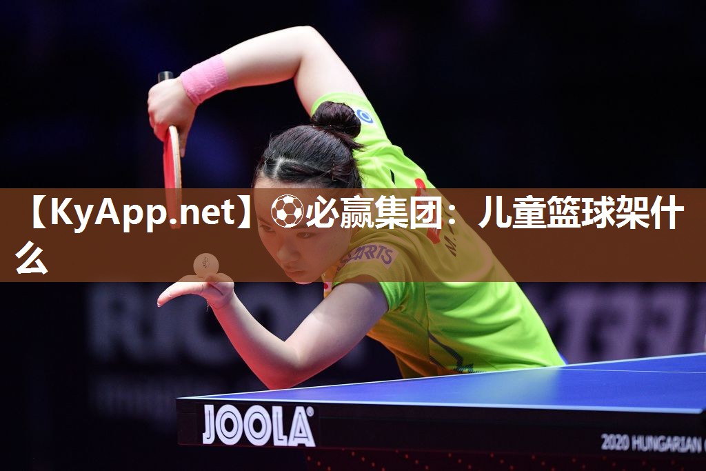 儿童篮球架什么