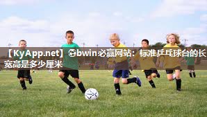 标准乒乓球台的长宽高是多少厘米