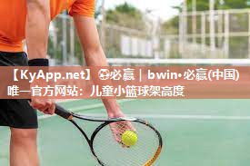 儿童小篮球架高度