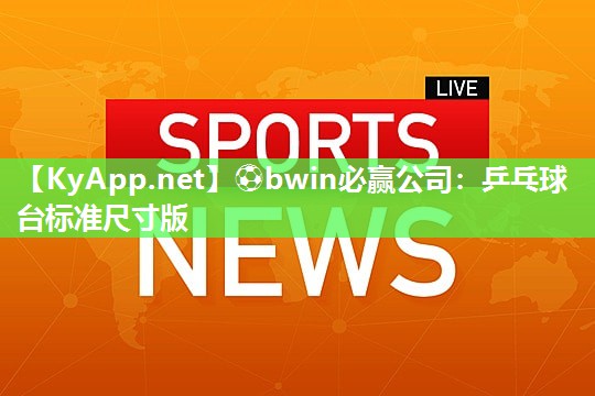 乒乓球台标准尺寸版
