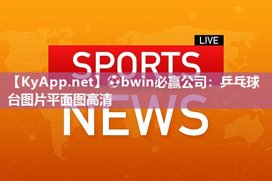 乒乓球台图片平面图高清