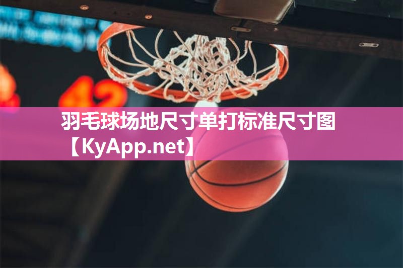 羽毛球场地尺寸单打标准尺寸图