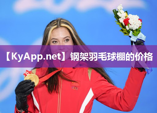 钢架羽毛球棚的价格