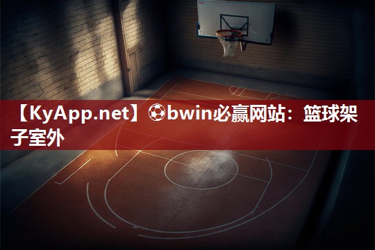 篮球架子室外