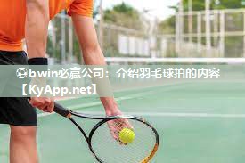 介绍羽毛球拍的内容