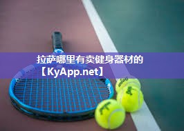 拉萨哪里有卖健身器材的
