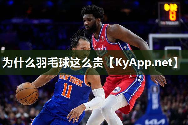 为什么羽毛球这么贵