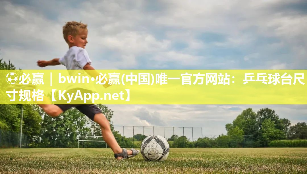 乒乓球台尺寸规格