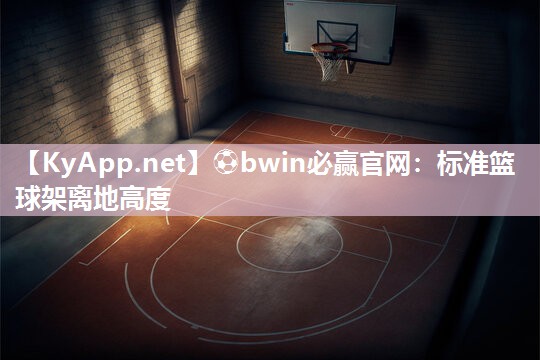 标准篮球架离地高度