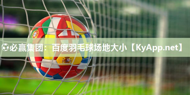 百度羽毛球场地大小