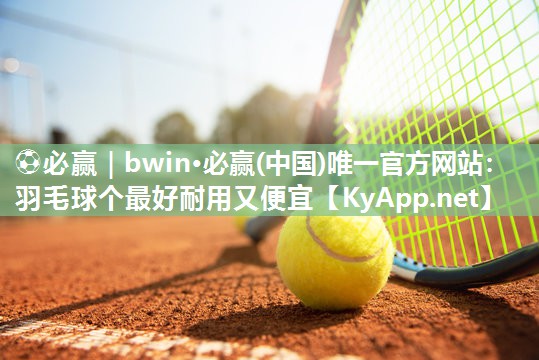 羽毛球个最好耐用又便宜