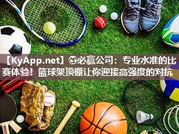 专业水准的比赛体验！篮球架顶棚让你迎接高强度的对抗