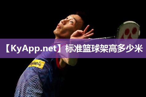 标准篮球架高多少米