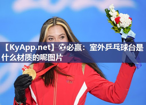 室外乒乓球台是什么材质的呢图片