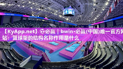 篮球架的结构名称作用是什么