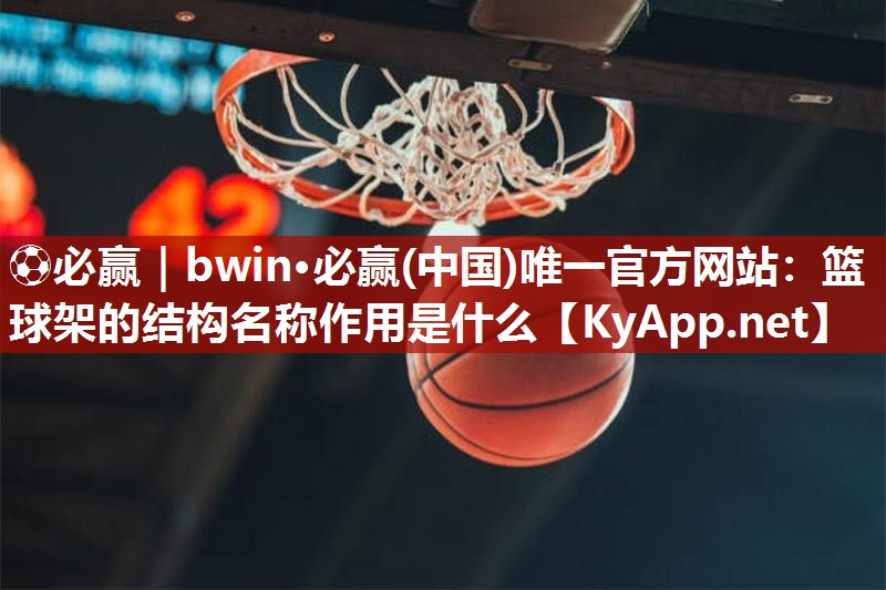 篮球架的结构名称作用是什么