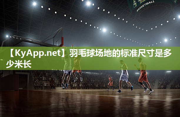 羽毛球场地的标准尺寸是多少米长