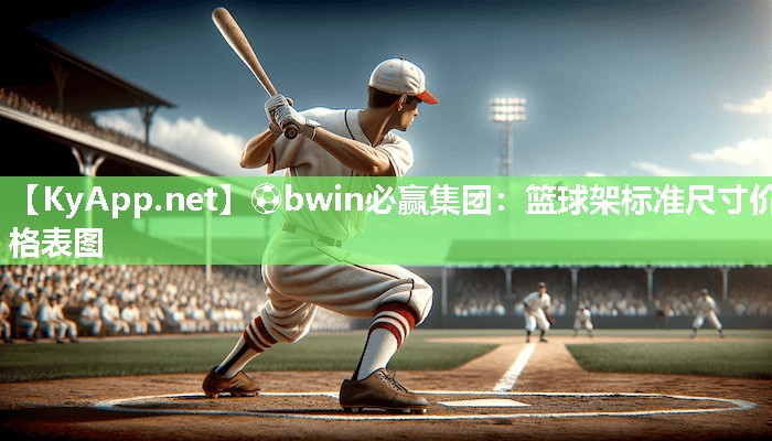 篮球架标准尺寸价格表图