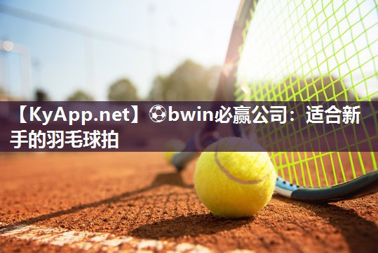 适合新手的羽毛球拍