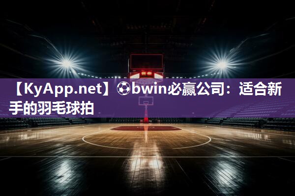 适合新手的羽毛球拍